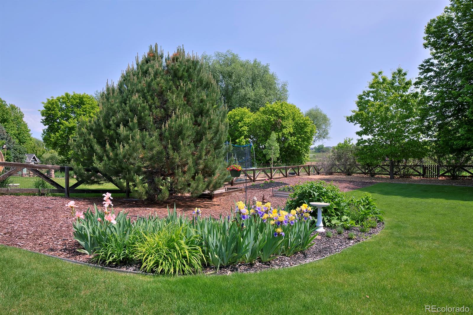 MLS Image #39 for 1341  washburn street,erie, Colorado