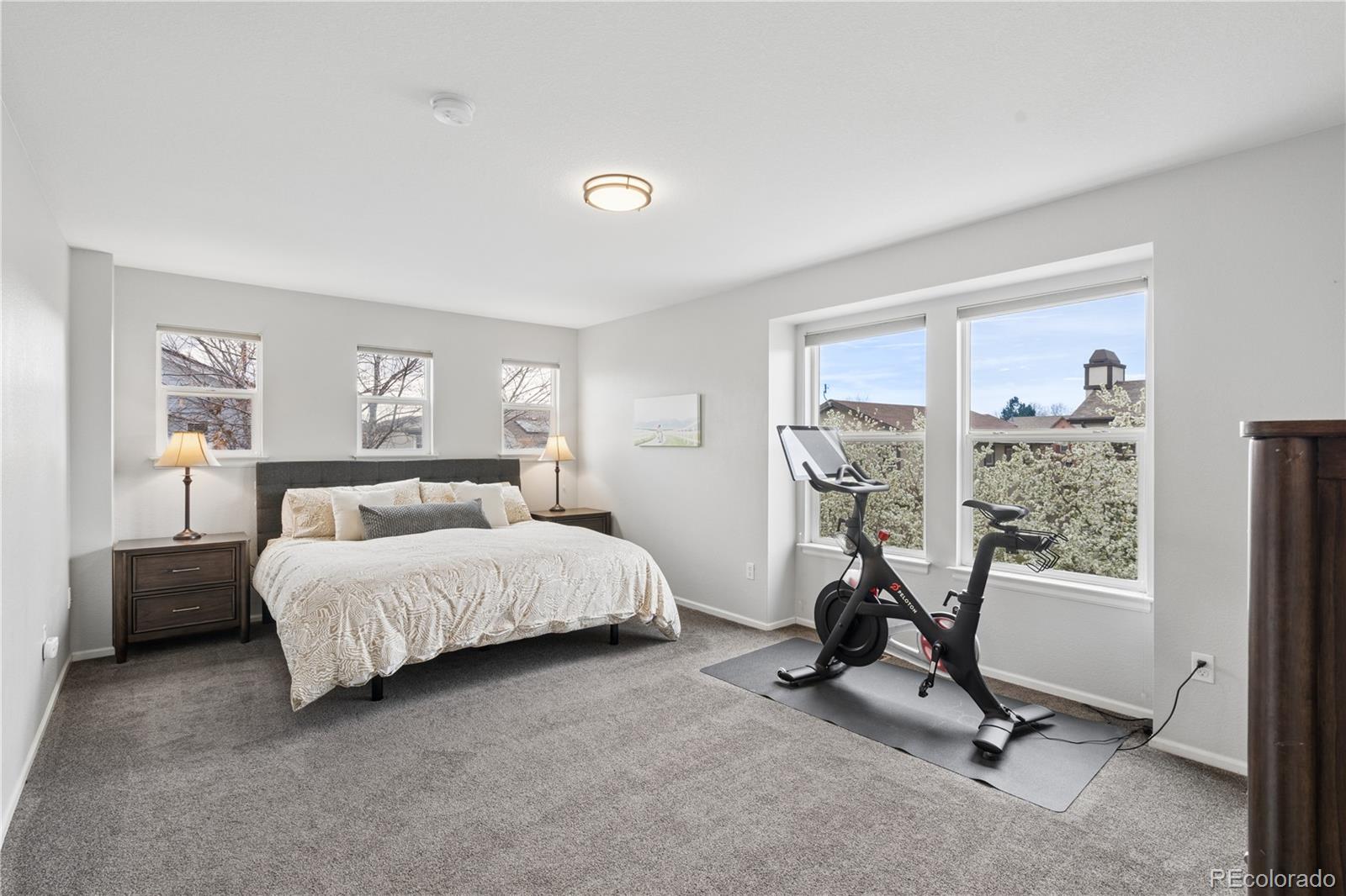 MLS Image #13 for 8894 e 29th place,denver, Colorado