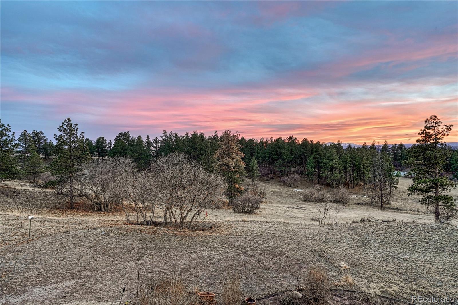 MLS Image #22 for 8768  windhaven drive,parker, Colorado