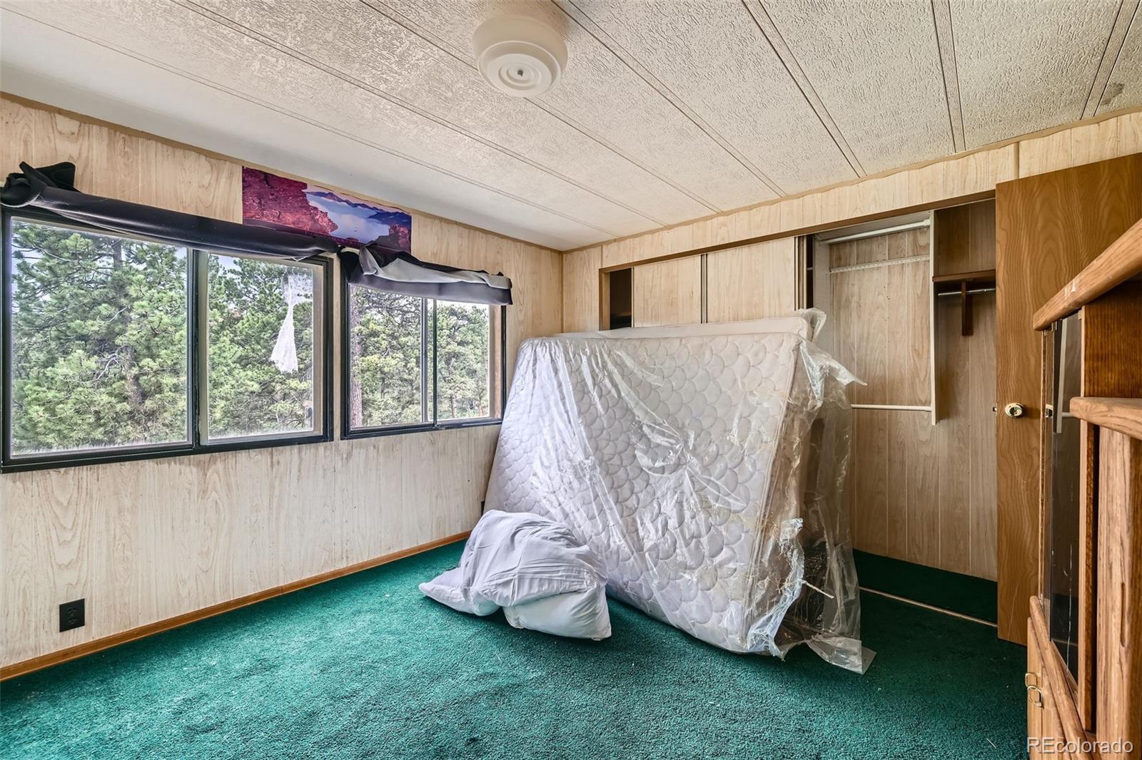 MLS Image #20 for 272  calle del sol ,florissant, Colorado