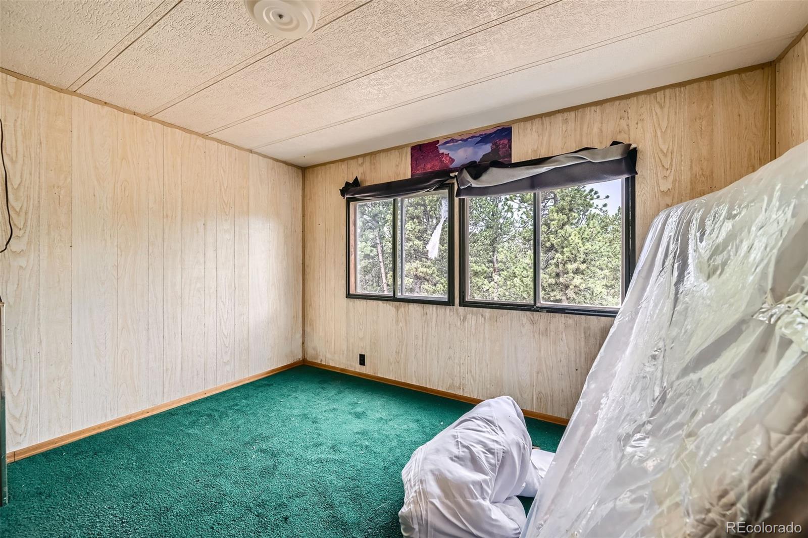 MLS Image #21 for 272  calle del sol ,florissant, Colorado