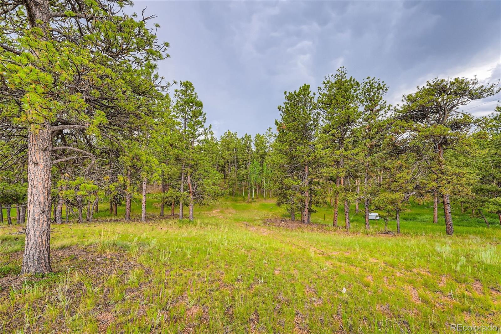 MLS Image #3 for 272  calle del sol ,florissant, Colorado