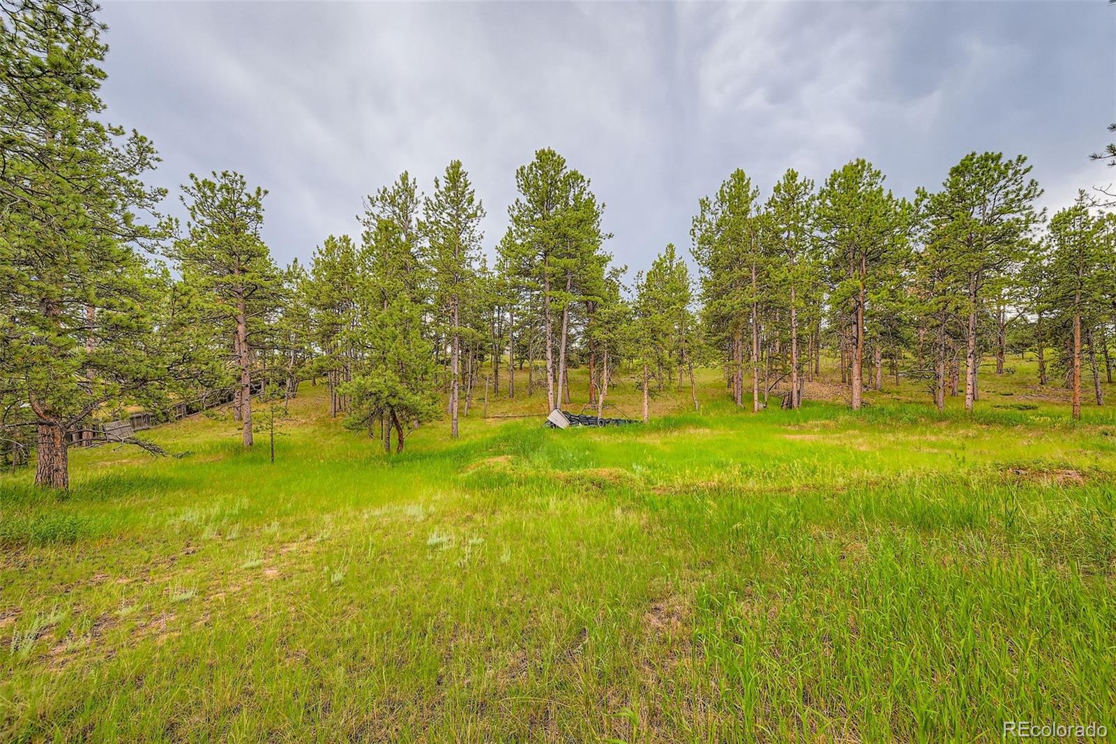 MLS Image #4 for 272  calle del sol ,florissant, Colorado