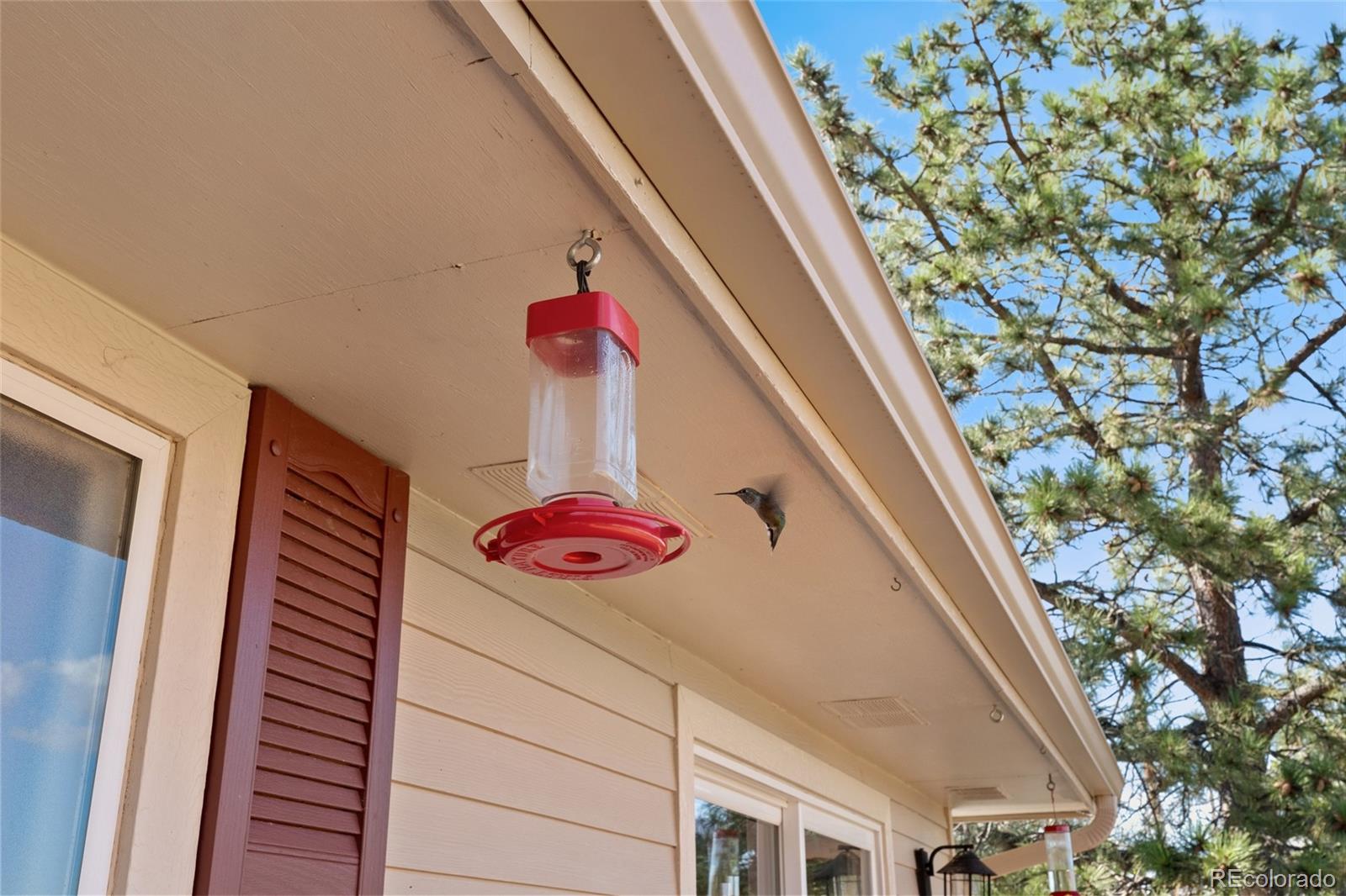 MLS Image #18 for 6555  meadowbrook lane,sedalia, Colorado