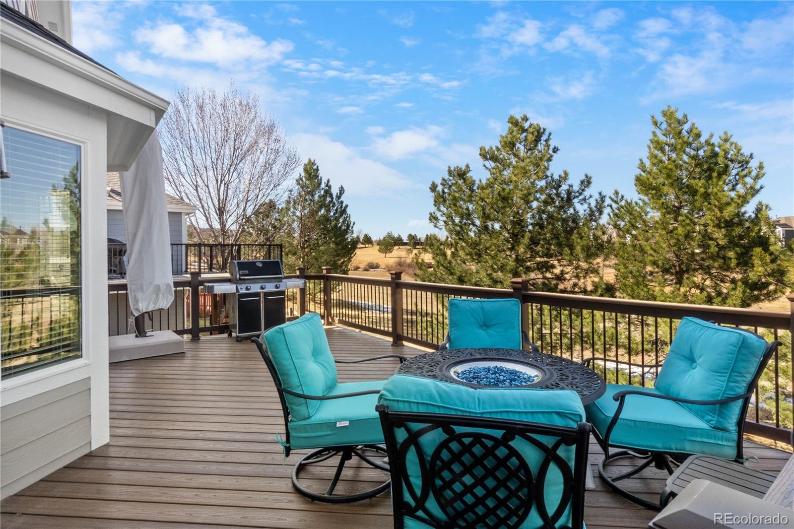 MLS Image #41 for 16251  rock crystal drive,parker, Colorado