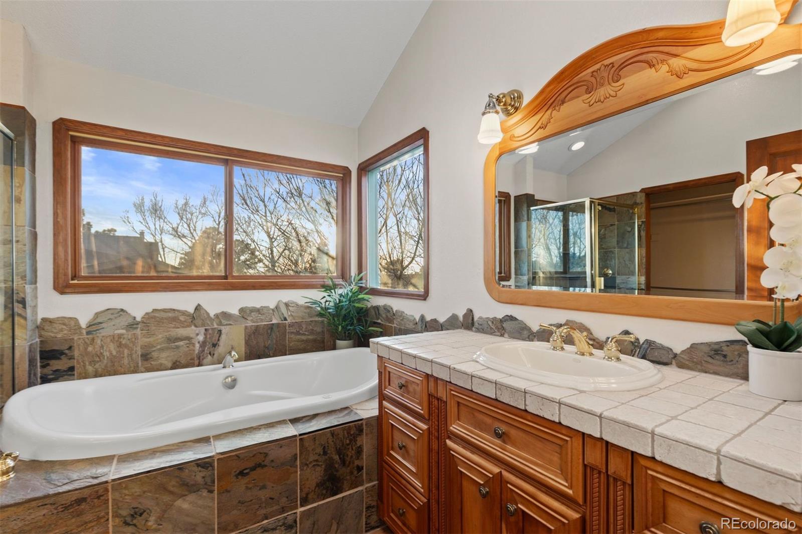 MLS Image #18 for 9655  coronado court,parker, Colorado