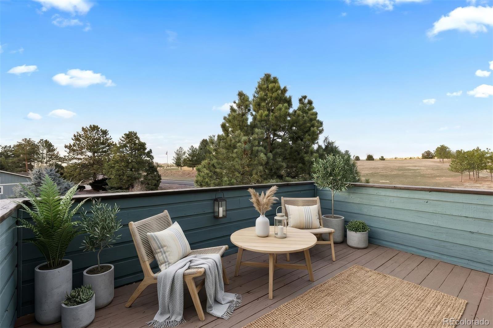 MLS Image #19 for 9655  coronado court,parker, Colorado