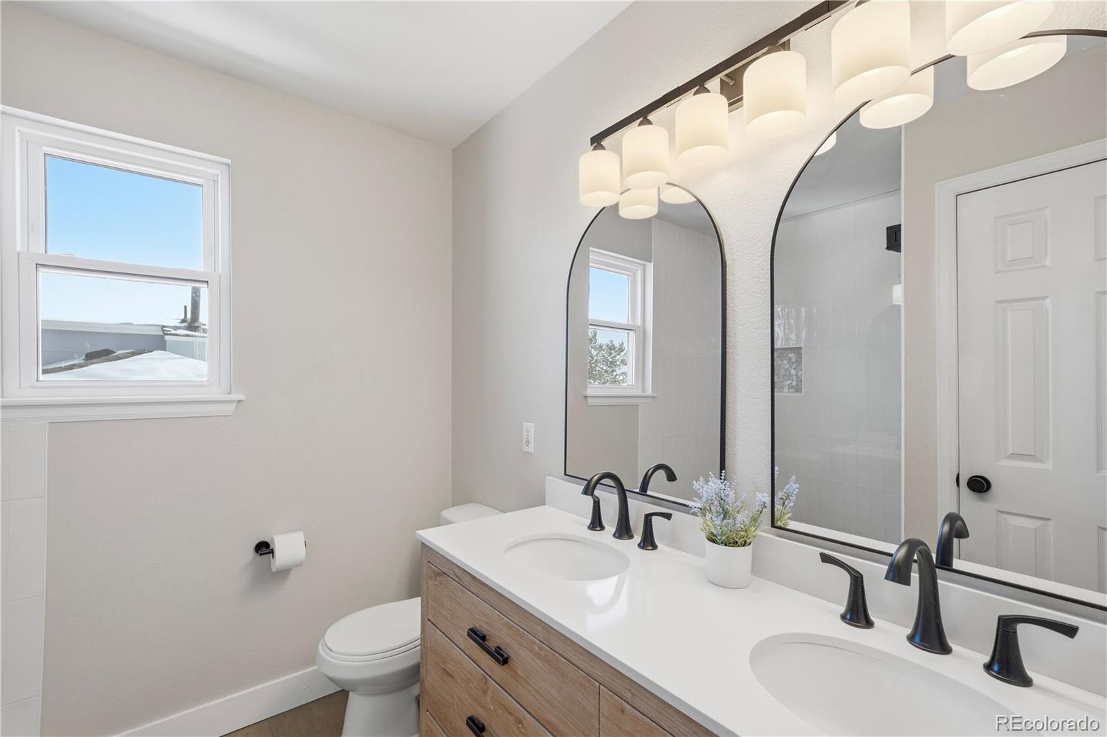 MLS Image #21 for 17605  cornish place,parker, Colorado