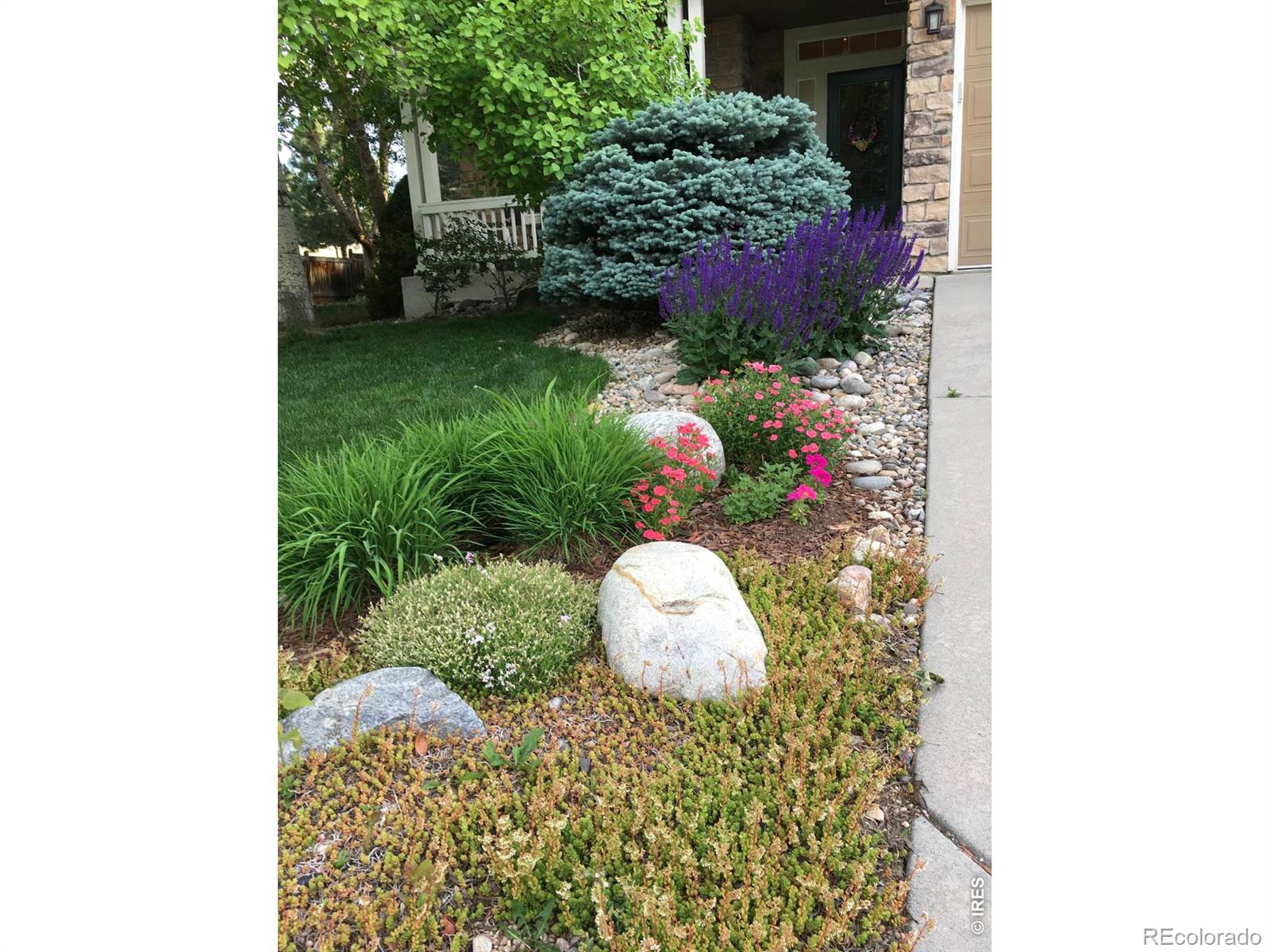 MLS Image #38 for 433  huntington hills drive,fort collins, Colorado