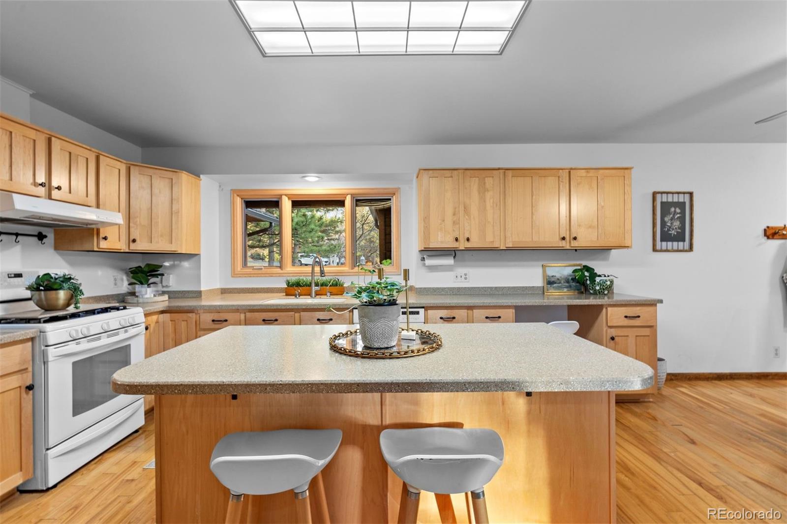 MLS Image #13 for 9565  coronado court,parker, Colorado