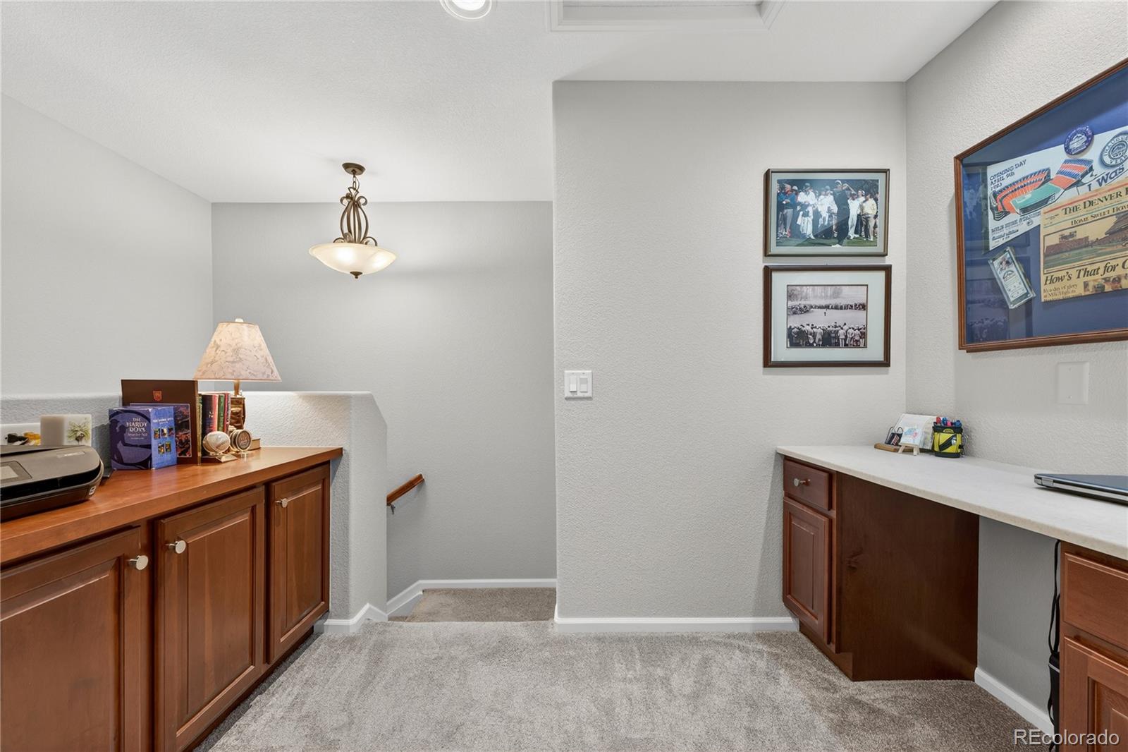 MLS Image #14 for 768  brookhurst avenue,highlands ranch, Colorado