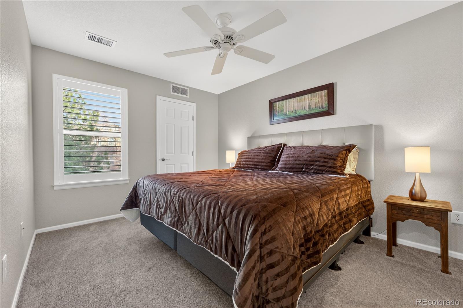 MLS Image #22 for 768  brookhurst avenue,highlands ranch, Colorado