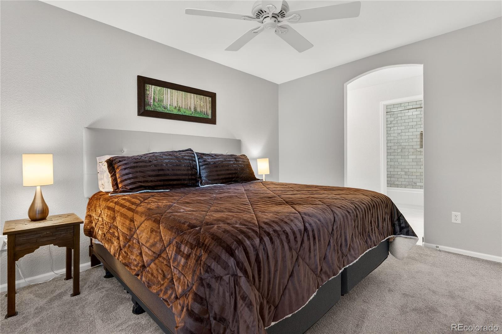 MLS Image #23 for 768  brookhurst avenue,highlands ranch, Colorado