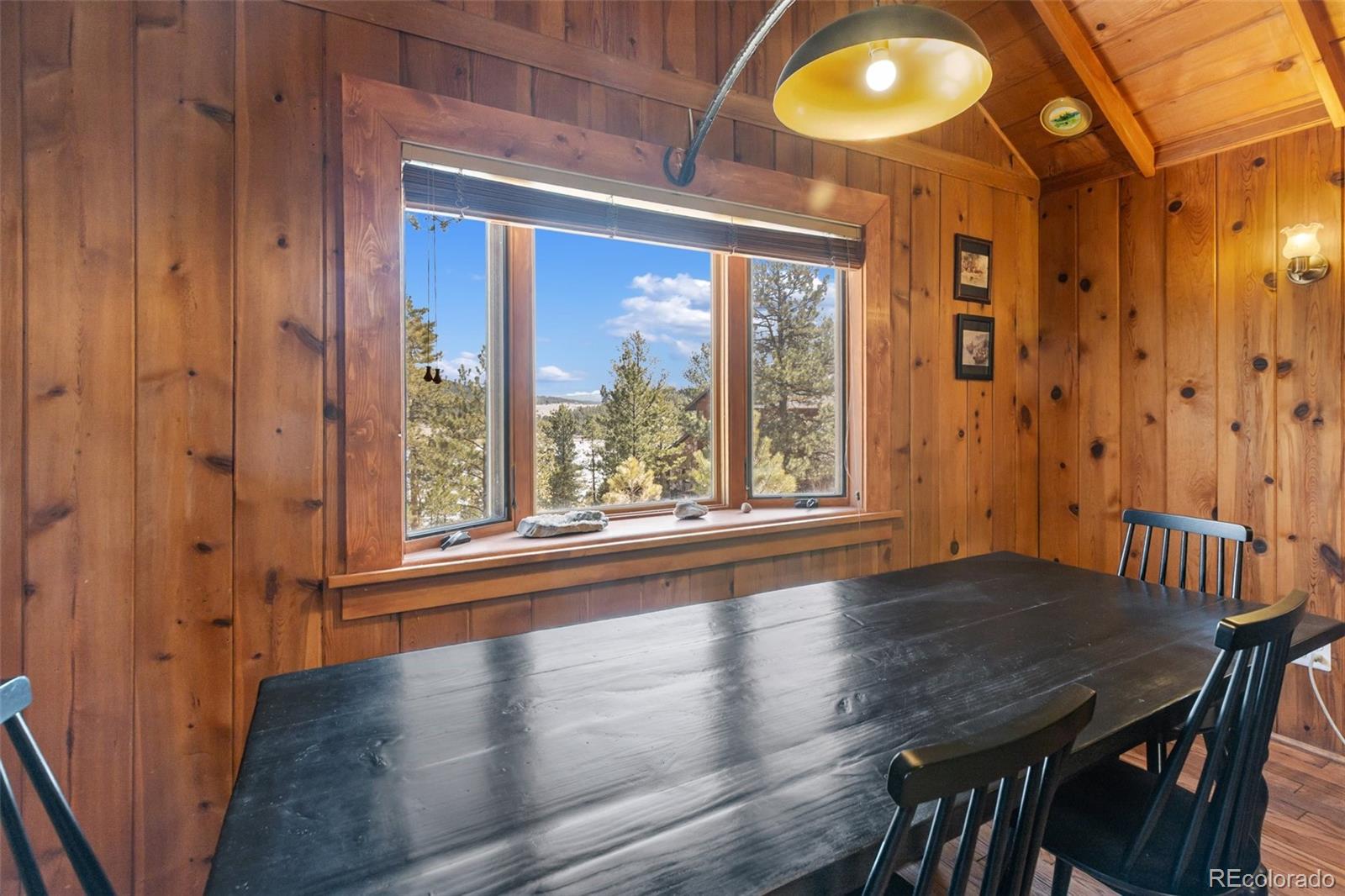 MLS Image #10 for 45  conductor lane,lake george, Colorado