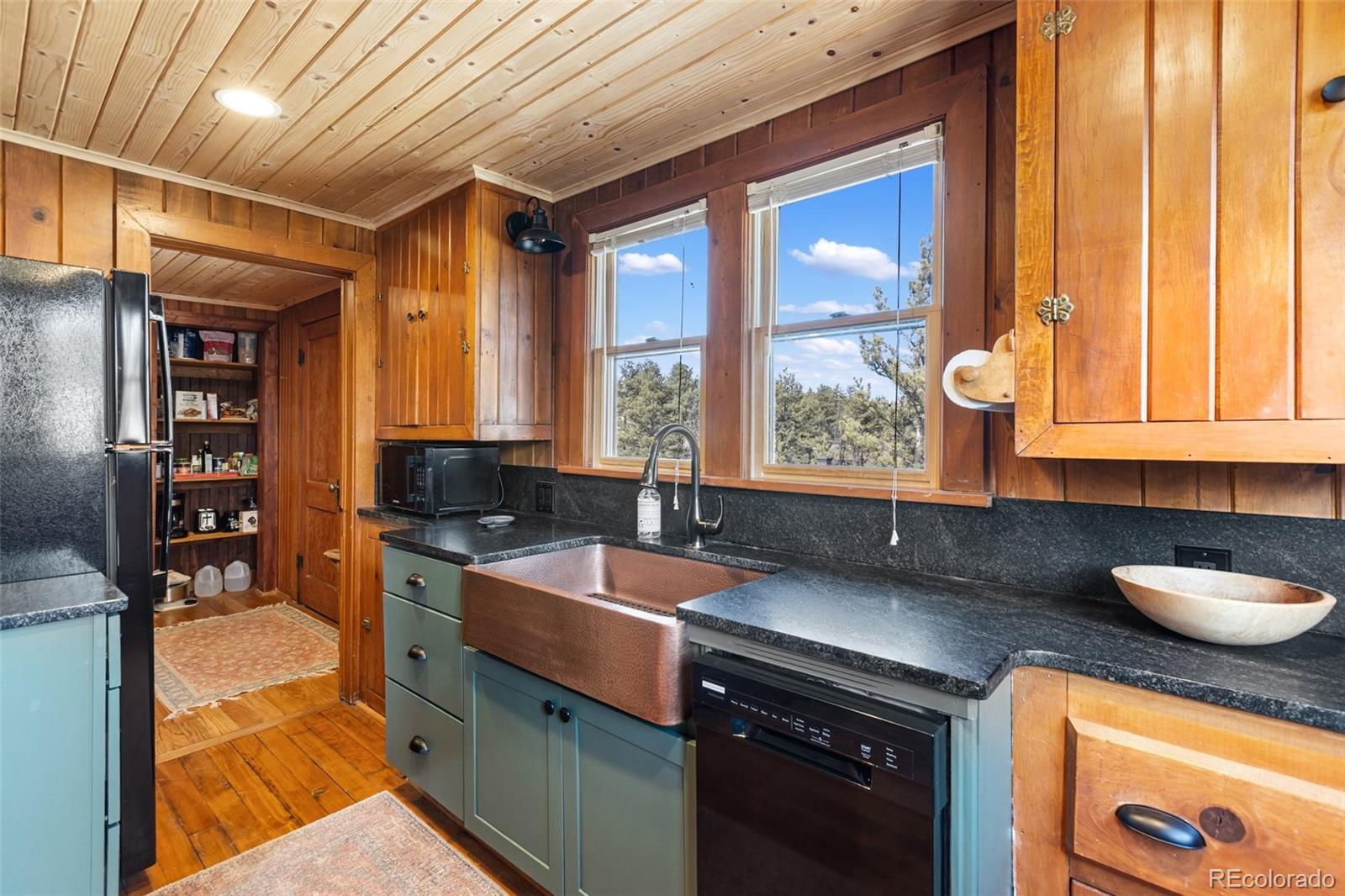MLS Image #11 for 45  conductor lane,lake george, Colorado