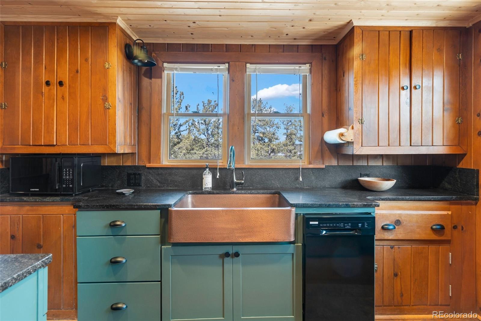 MLS Image #12 for 45  conductor lane,lake george, Colorado