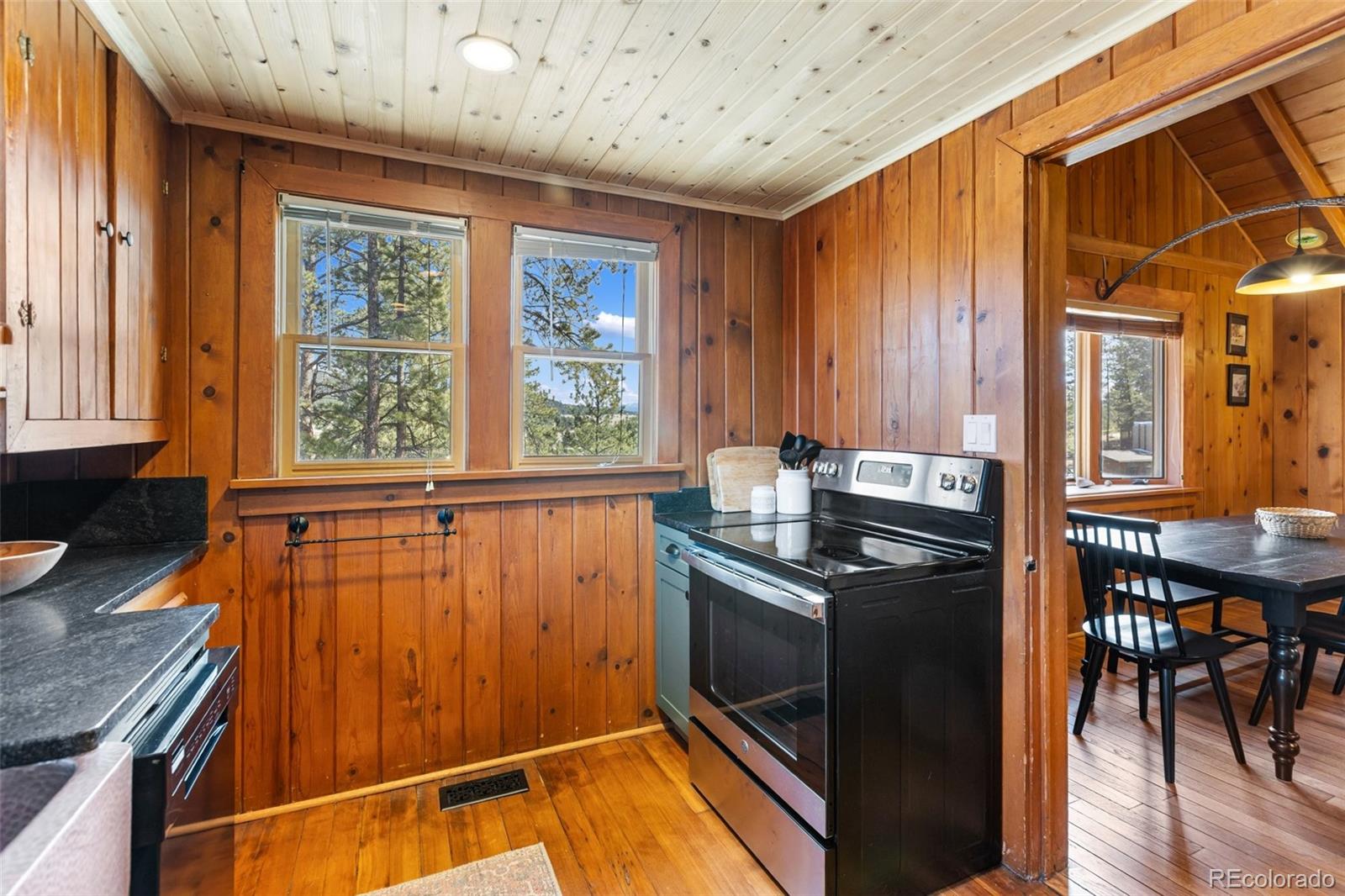 MLS Image #13 for 45  conductor lane,lake george, Colorado