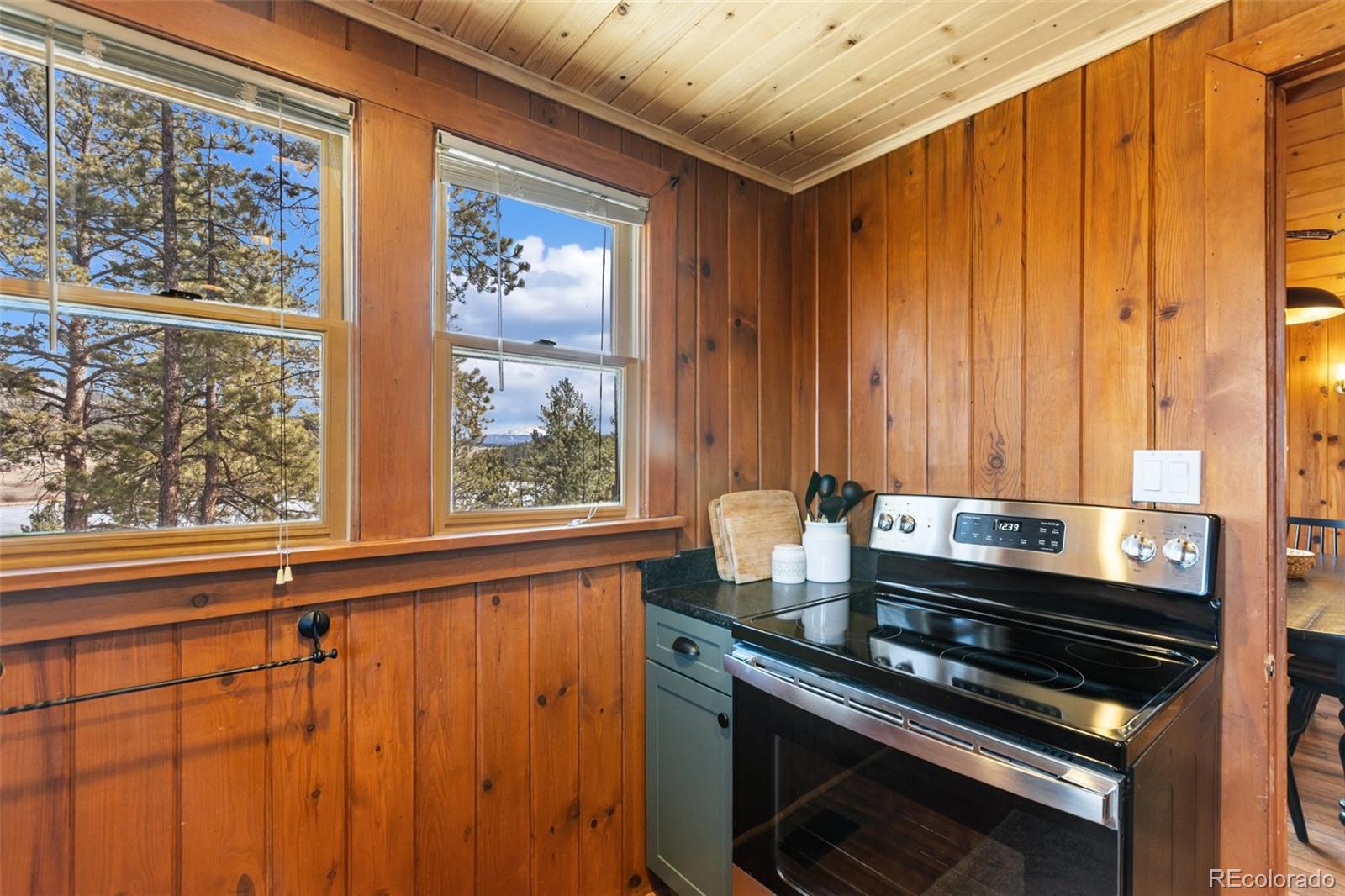MLS Image #14 for 45  conductor lane,lake george, Colorado