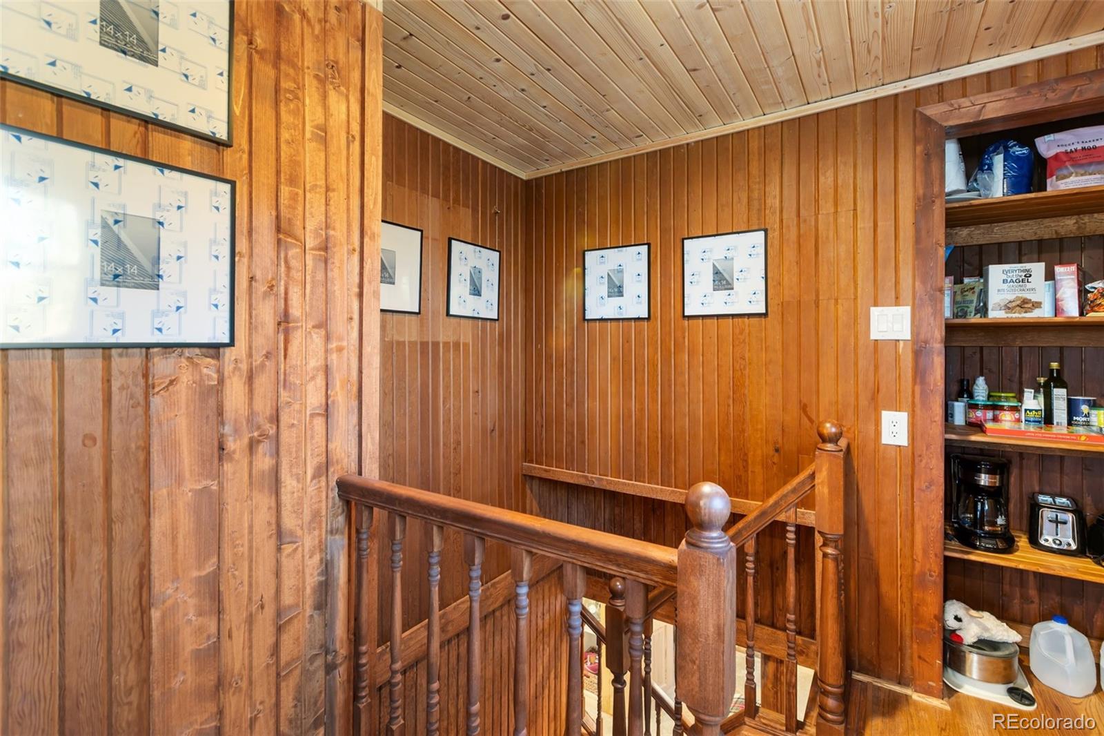 MLS Image #16 for 45  conductor lane,lake george, Colorado