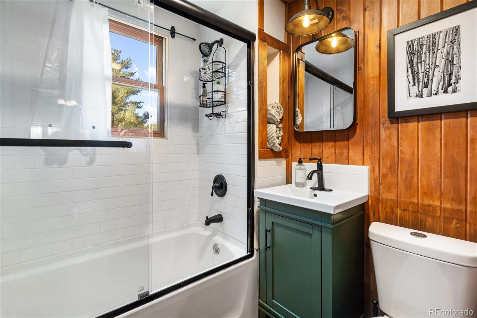 MLS Image #19 for 45  conductor lane,lake george, Colorado