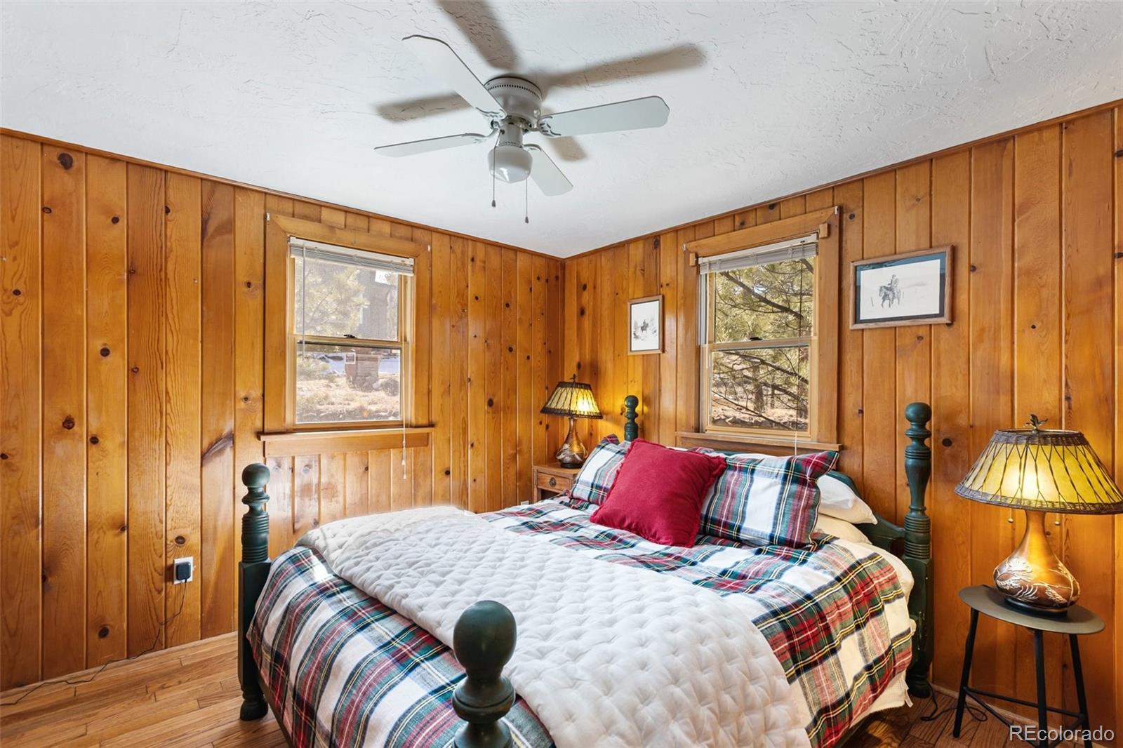 MLS Image #20 for 45  conductor lane,lake george, Colorado