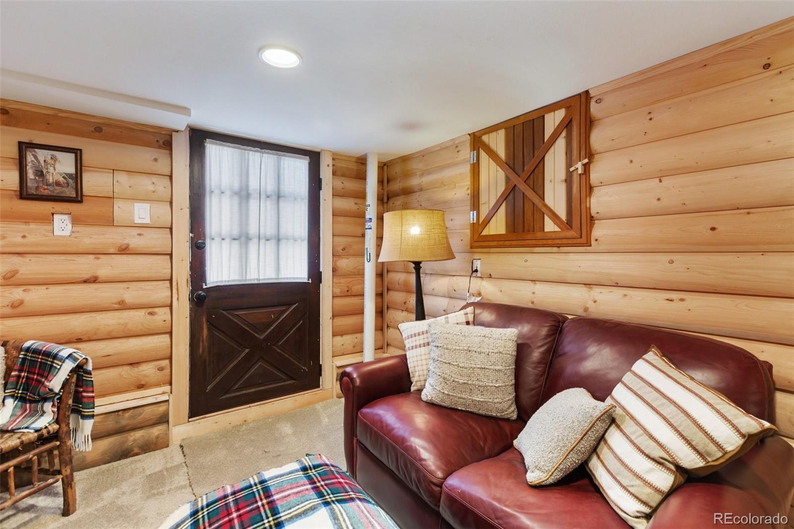 MLS Image #23 for 45  conductor lane,lake george, Colorado
