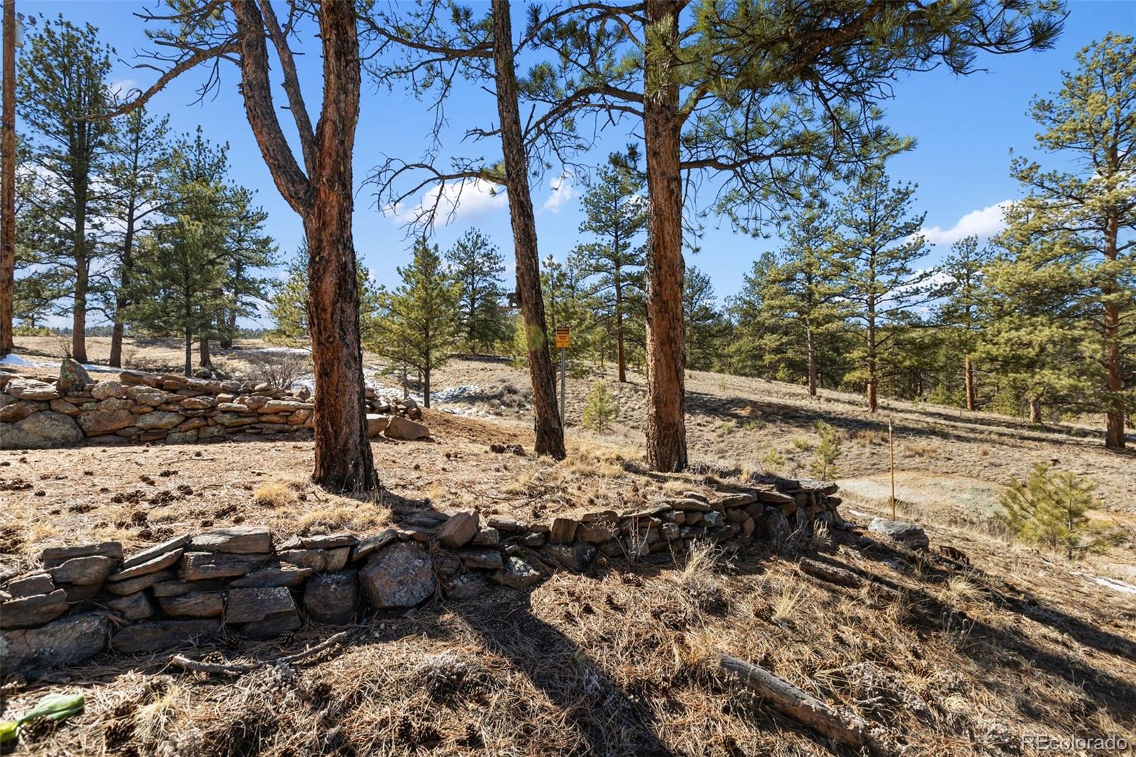 MLS Image #38 for 45  conductor lane,lake george, Colorado