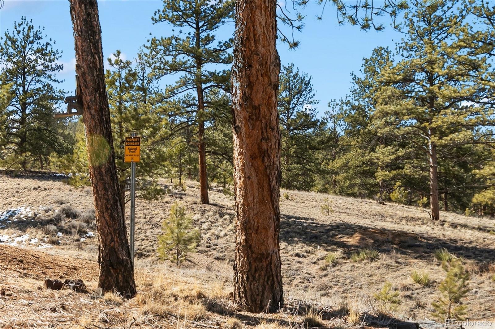 MLS Image #39 for 45  conductor lane,lake george, Colorado