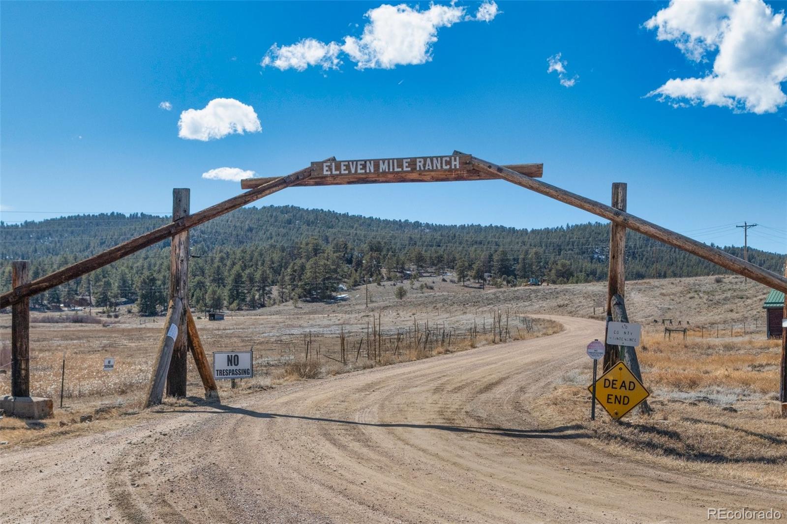 MLS Image #45 for 45  conductor lane,lake george, Colorado