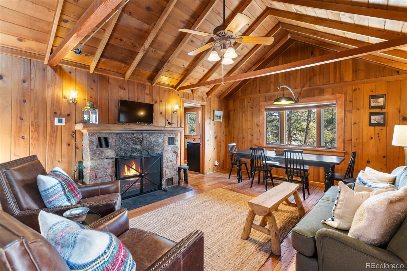 MLS Image #5 for 45  conductor lane,lake george, Colorado
