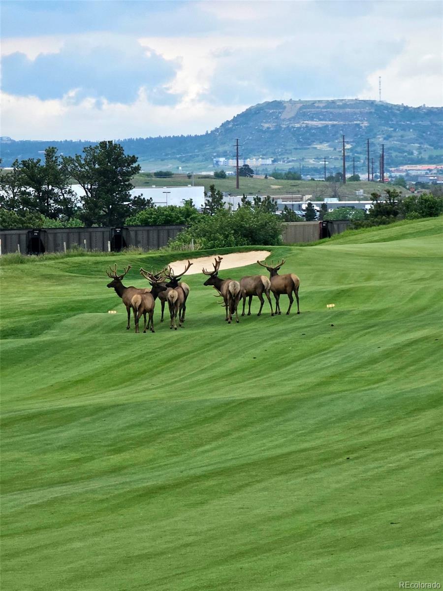 MLS Image #41 for 2809  newport circle,castle rock, Colorado