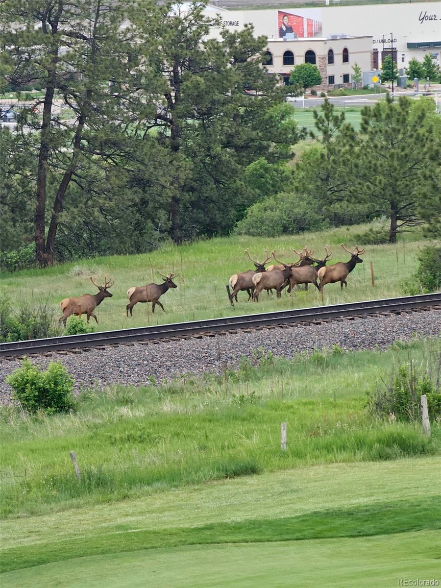 MLS Image #42 for 2809  newport circle,castle rock, Colorado