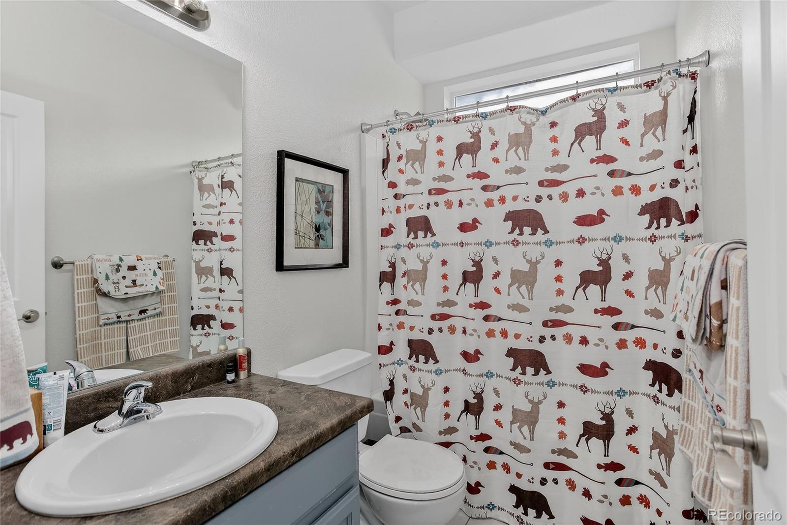 MLS Image #22 for 361  1st street,firestone, Colorado