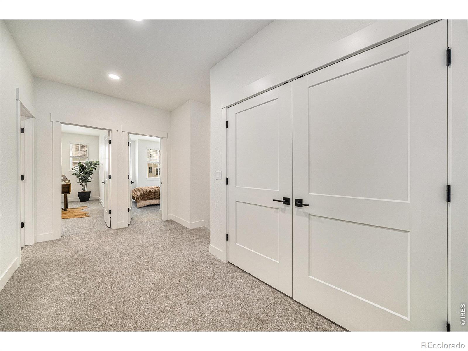 MLS Image #18 for 5186  stonewall street,loveland, Colorado