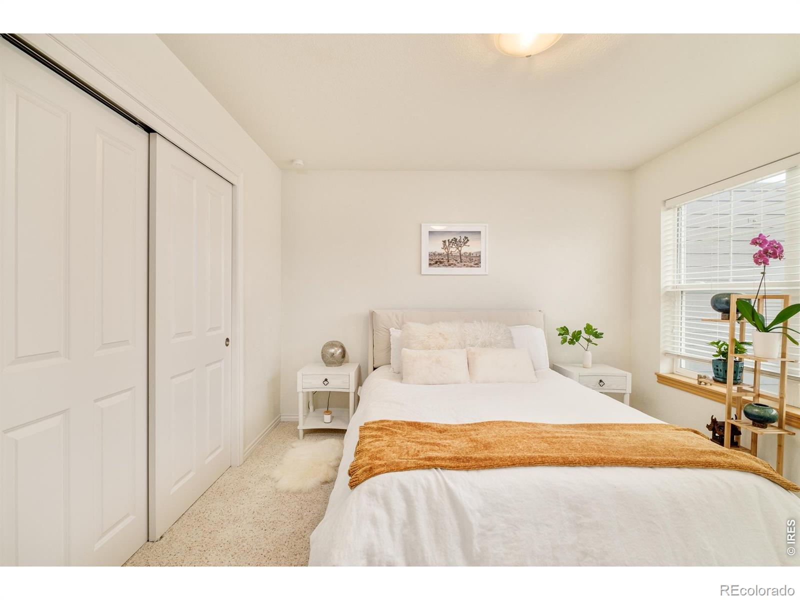 MLS Image #11 for 5057  5th street,boulder, Colorado