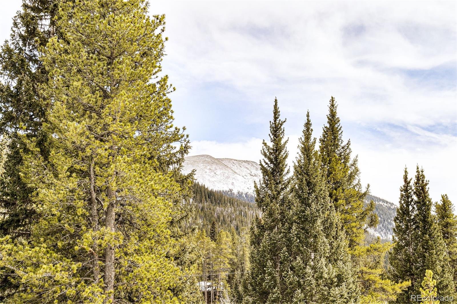 MLS Image #35 for 6270  highway 9 ,breckenridge, Colorado