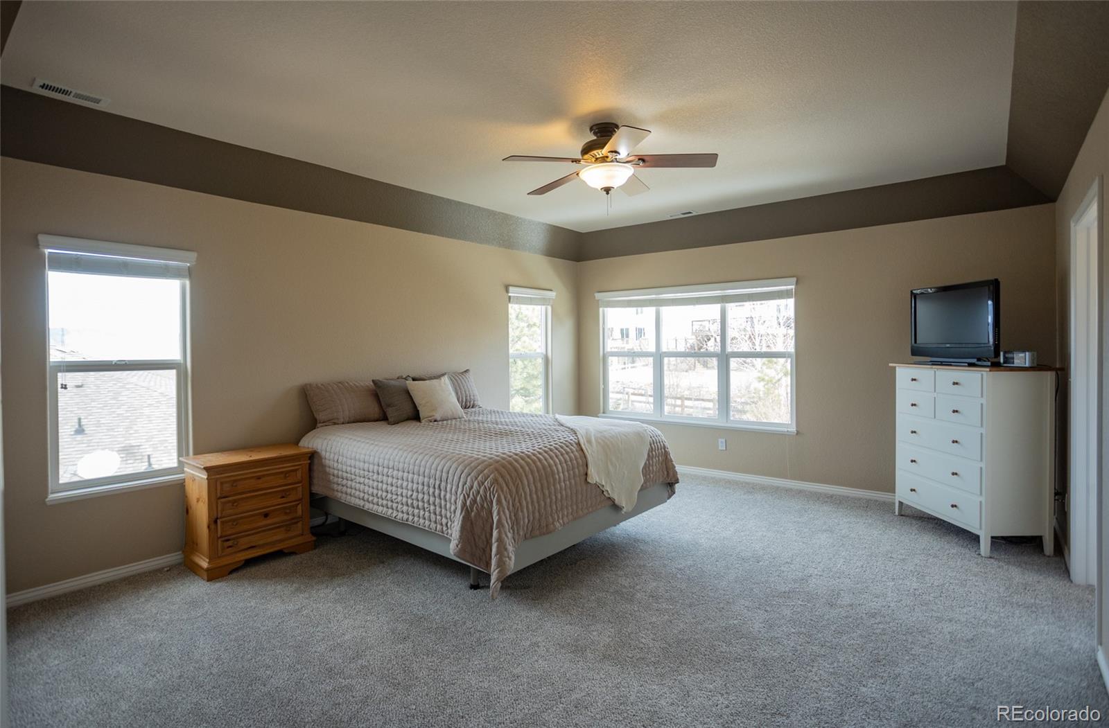 MLS Image #21 for 15855  agate creek drive,monument, Colorado