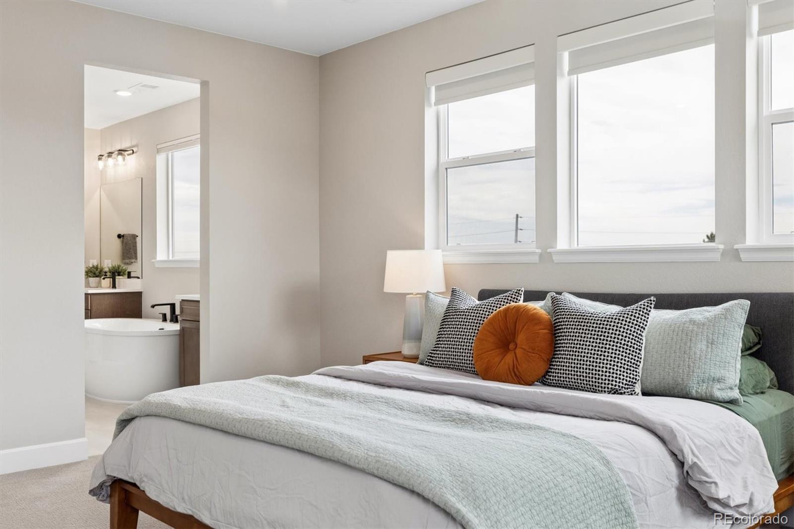 MLS Image #25 for 5980 s platte canyon drive,littleton, Colorado