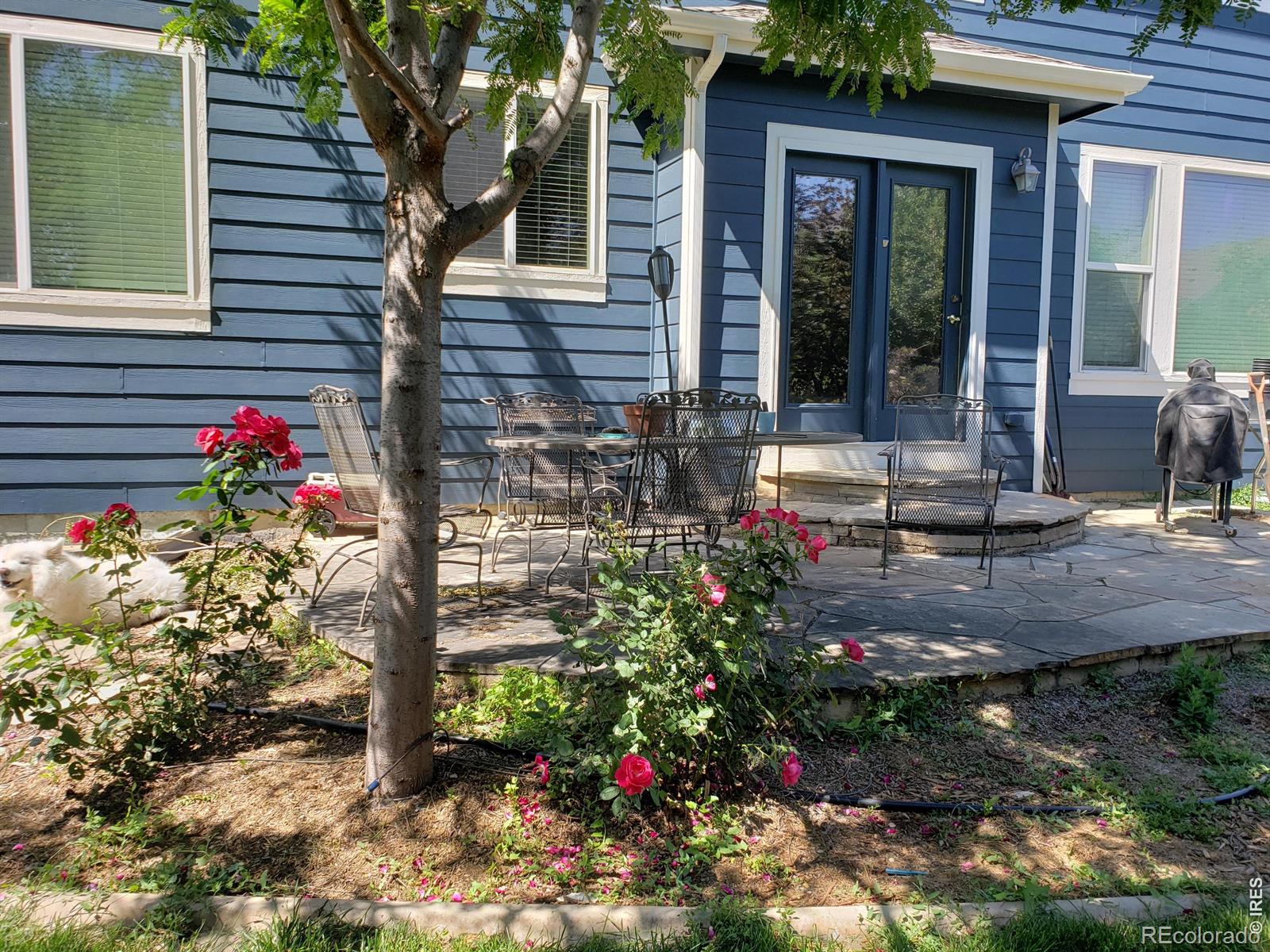 MLS Image #24 for 2121  baldwin street,fort collins, Colorado