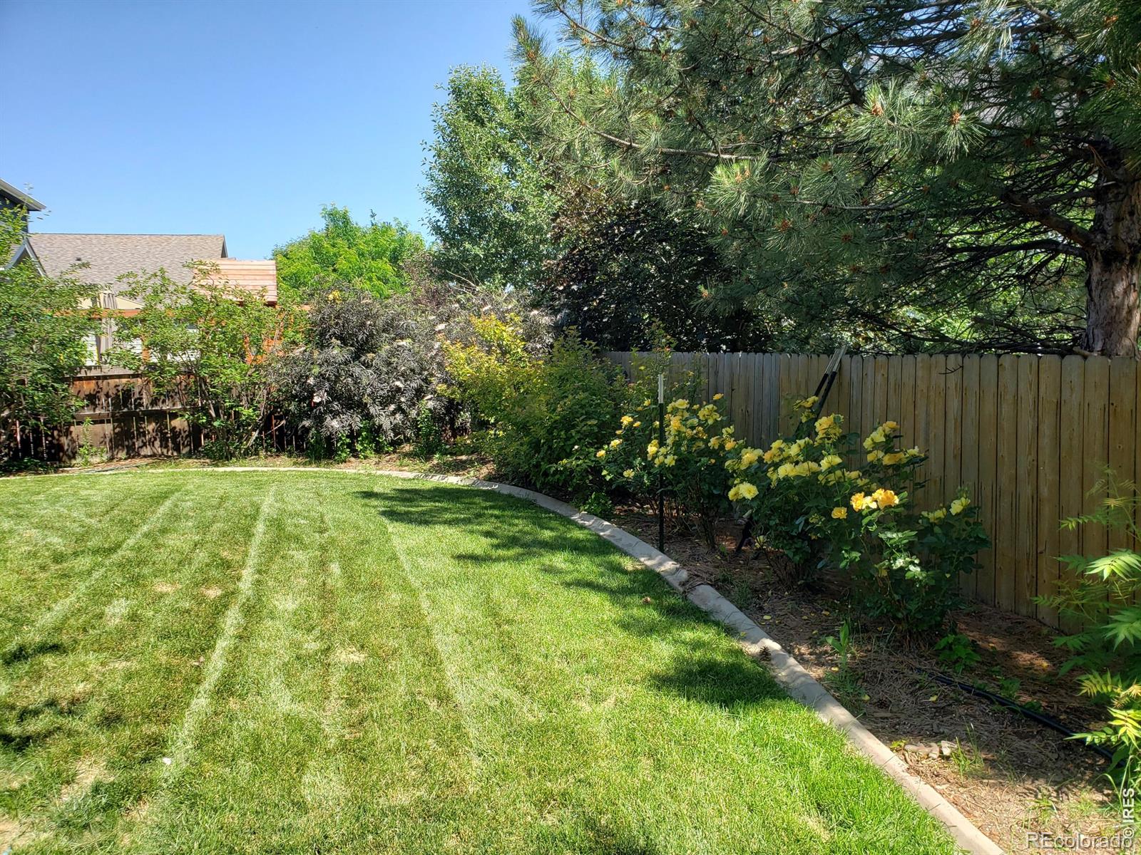 MLS Image #29 for 2121  baldwin street,fort collins, Colorado