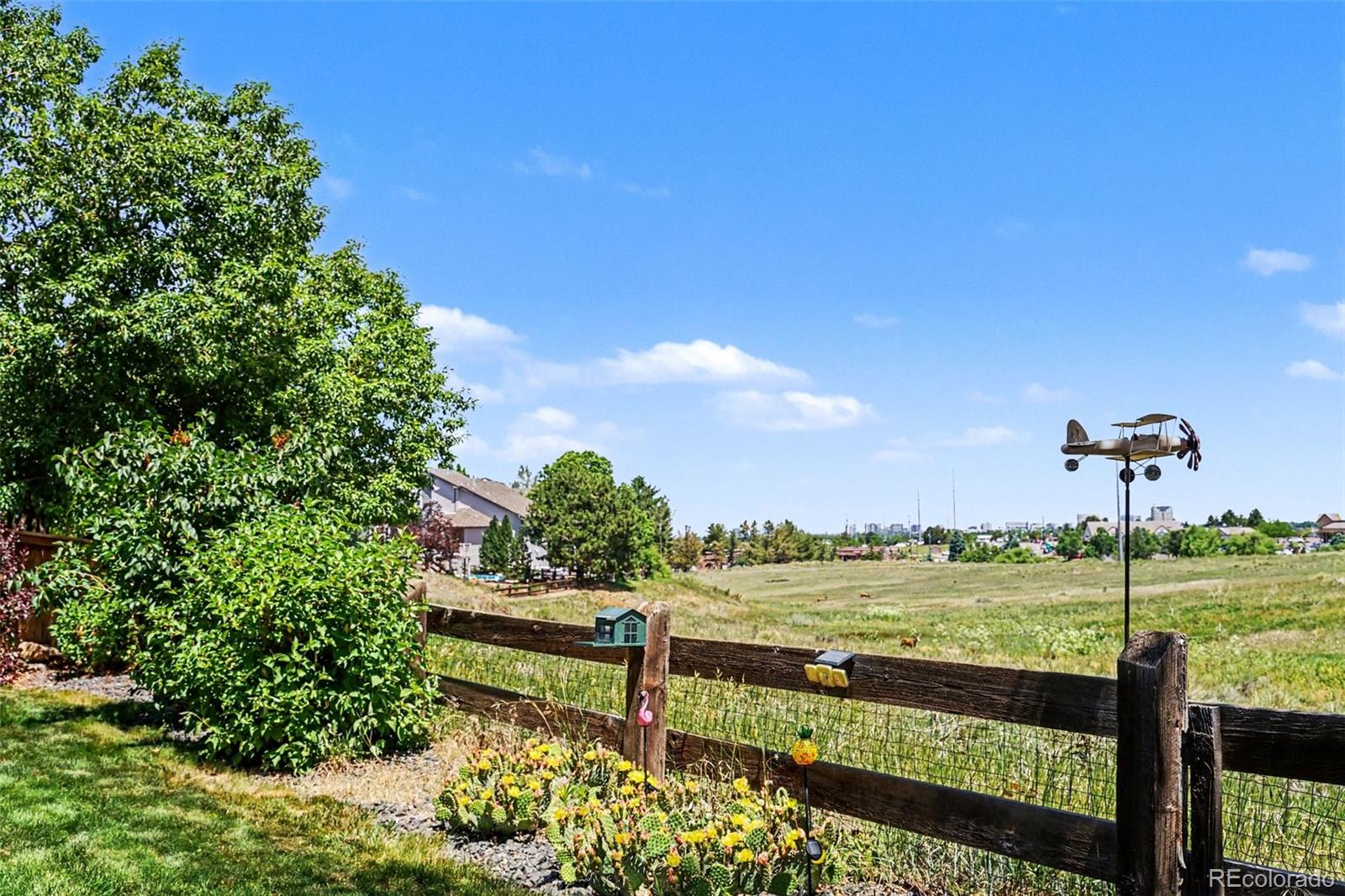 MLS Image #11 for 8872  chestnut hill lane,highlands ranch, Colorado