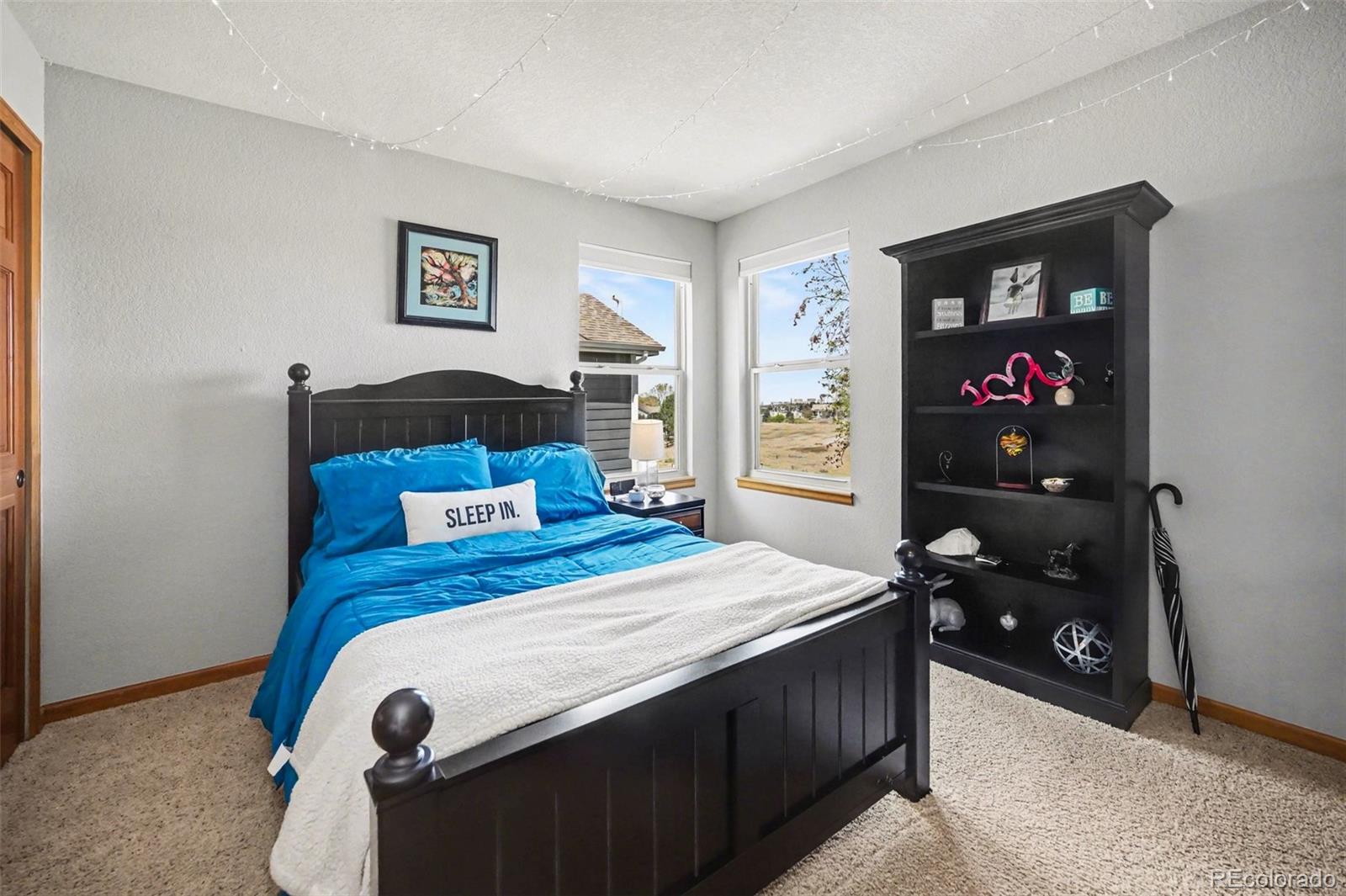 MLS Image #28 for 8872  chestnut hill lane,highlands ranch, Colorado
