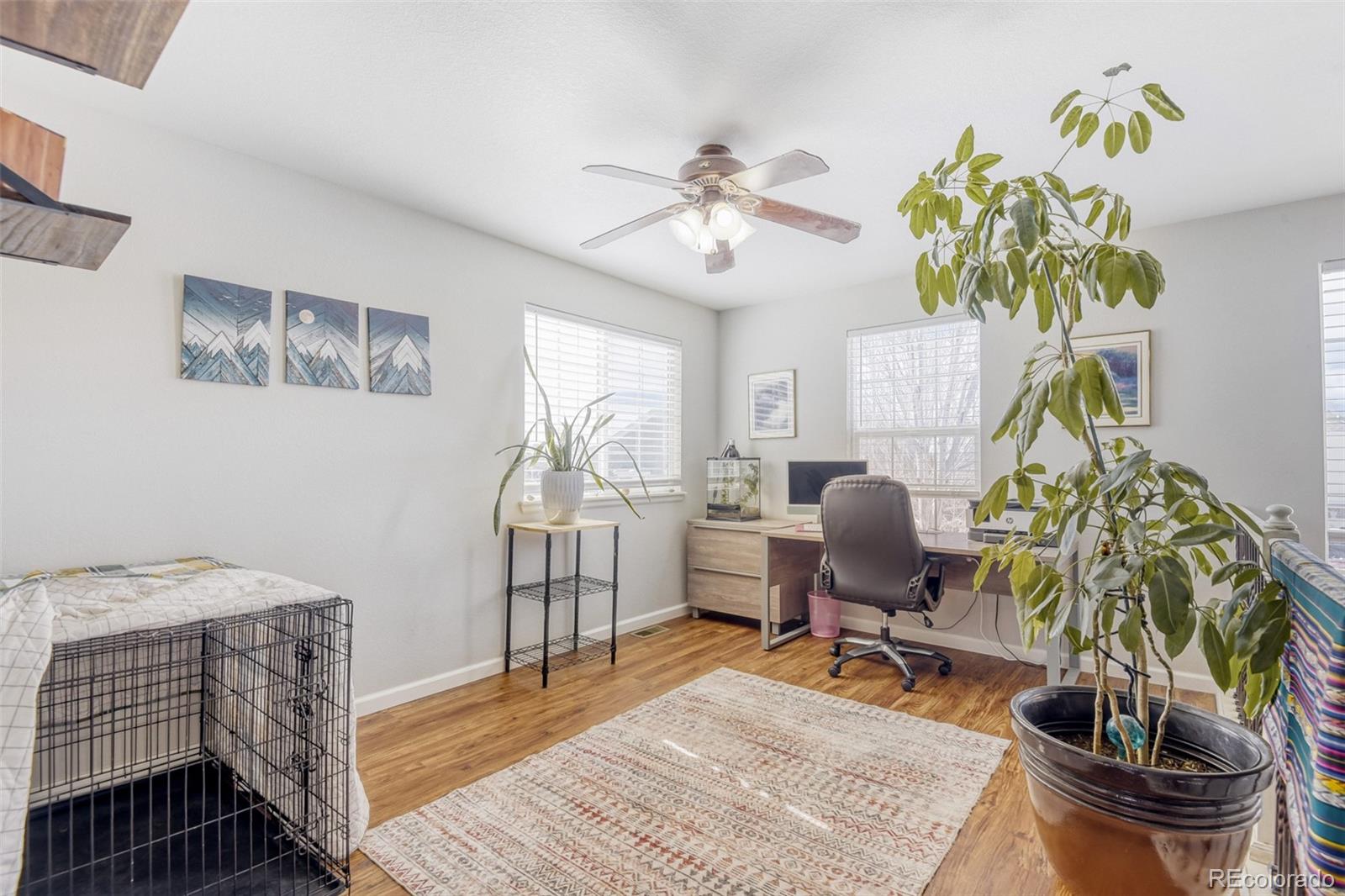 MLS Image #21 for 11836  high desert road,parker, Colorado