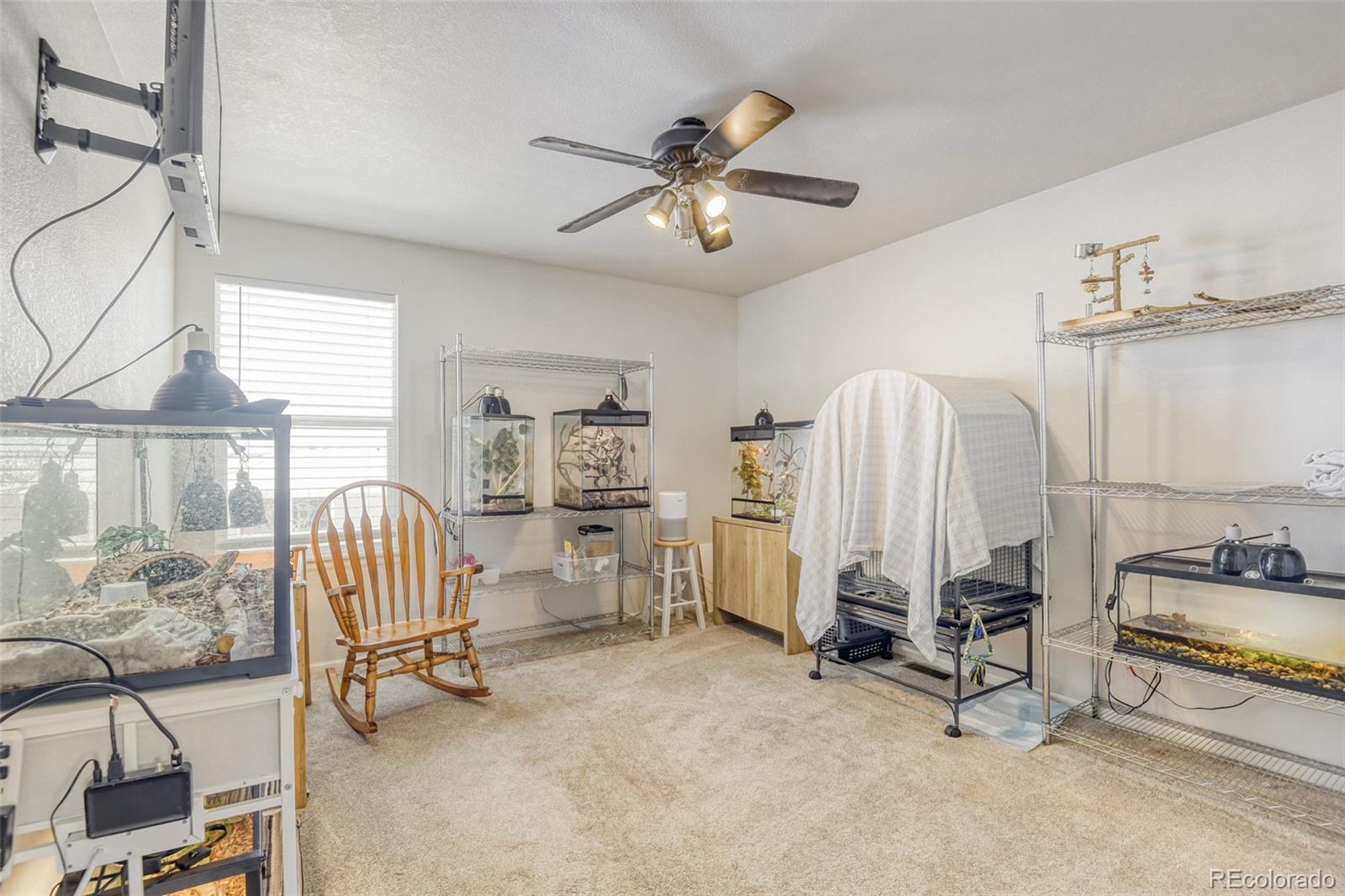 MLS Image #22 for 11836  high desert road,parker, Colorado