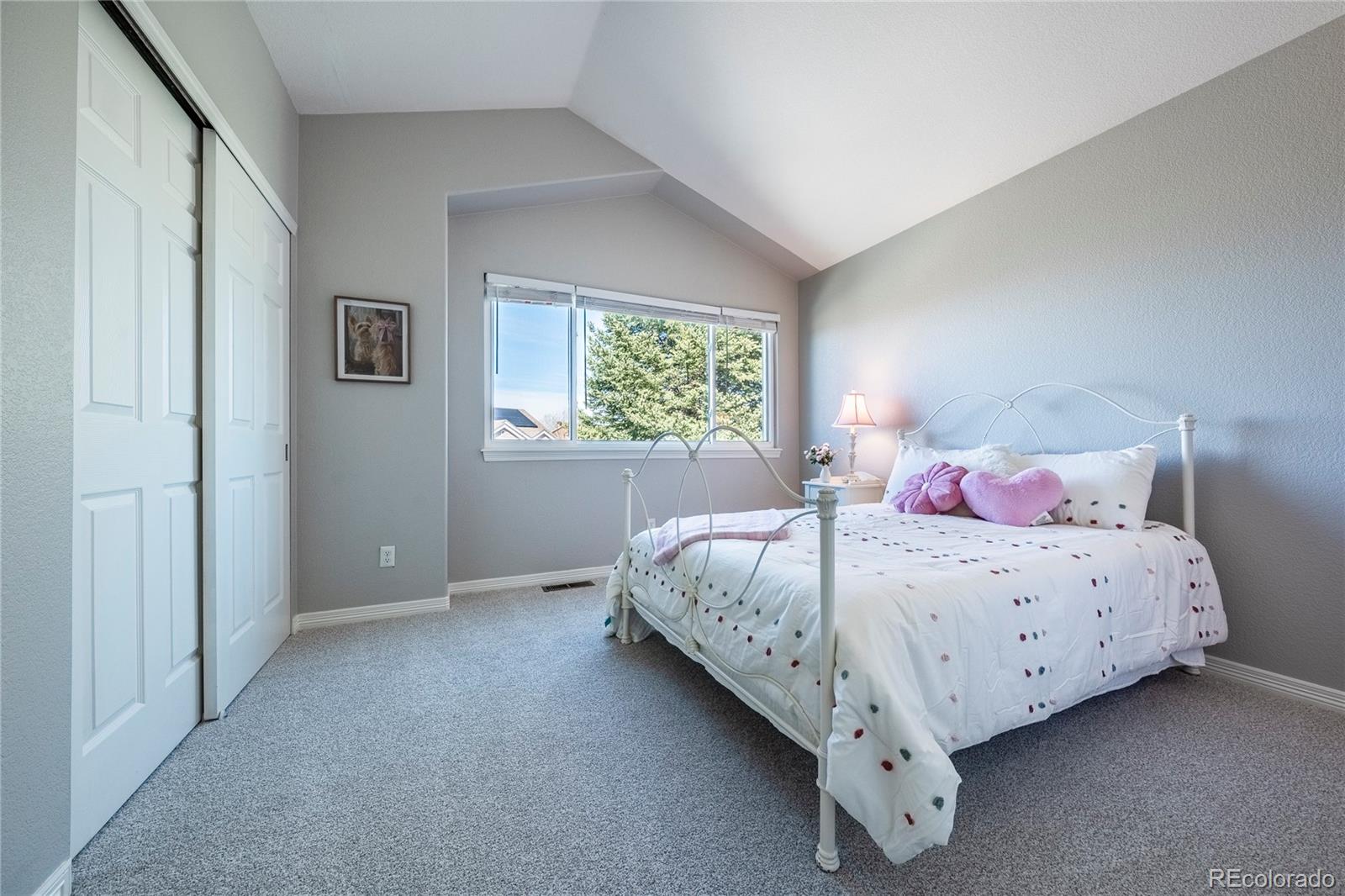 MLS Image #25 for 16042  crestrock circle,parker, Colorado