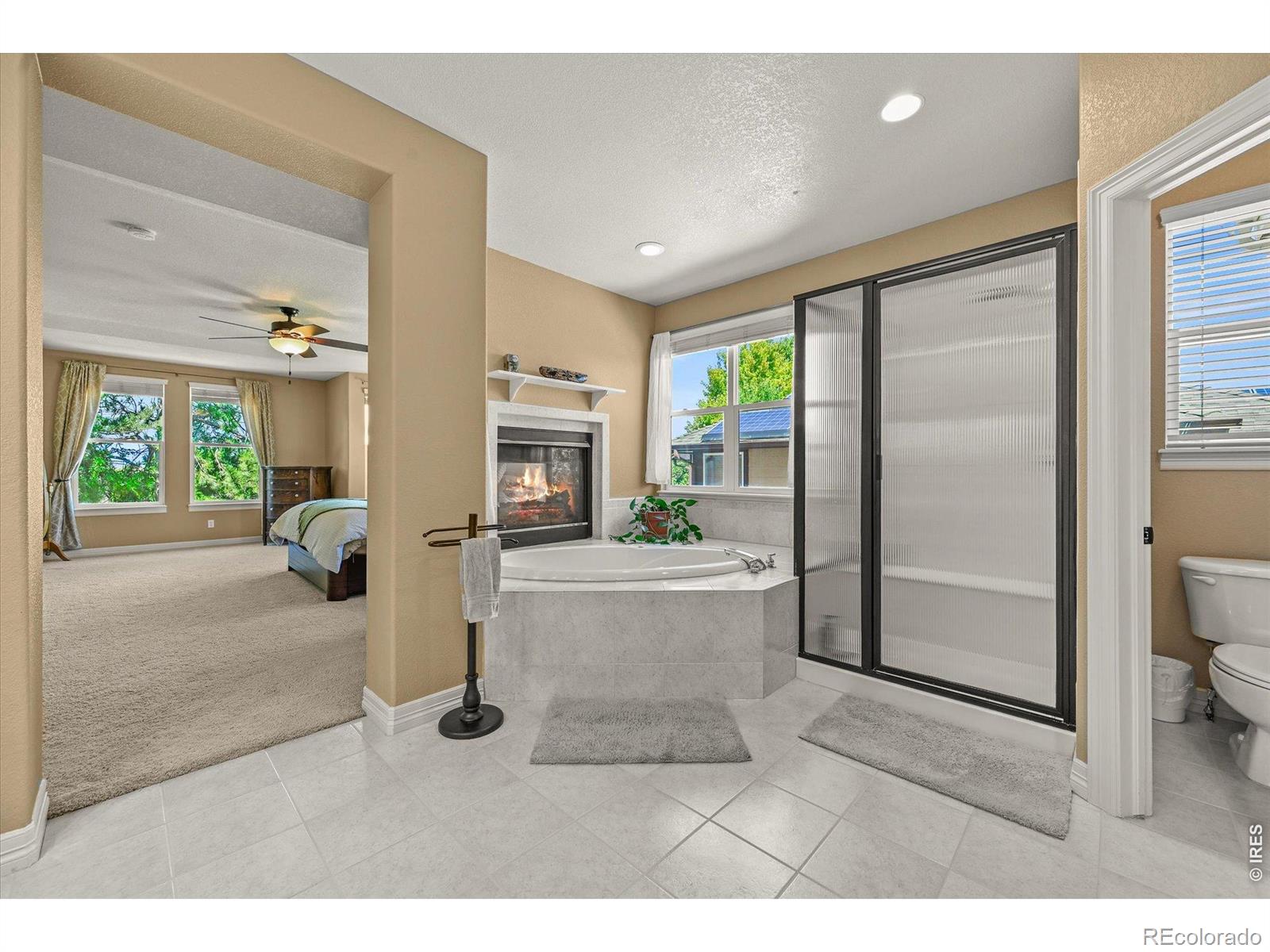 MLS Image #23 for 10123  mockingbird lane,highlands ranch, Colorado