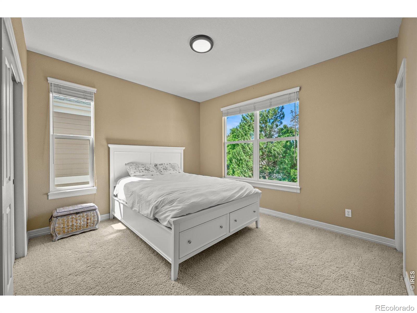 MLS Image #24 for 10123  mockingbird lane,highlands ranch, Colorado