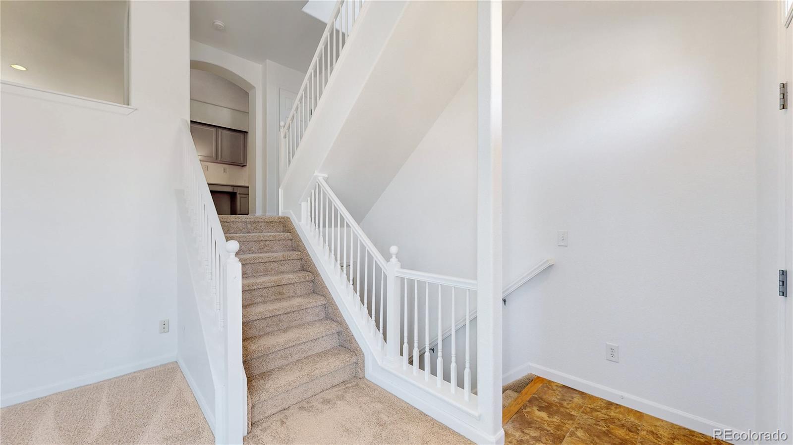 MLS Image #15 for 3858  tranquility trail,castle rock, Colorado