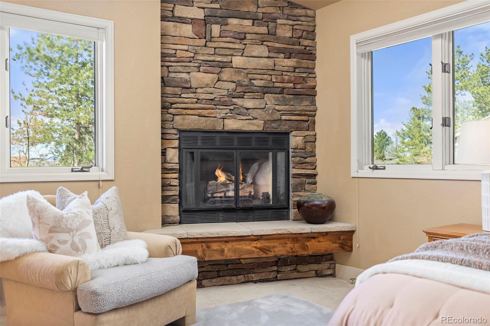 MLS Image #15 for 7532  lakecliff way,parker, Colorado