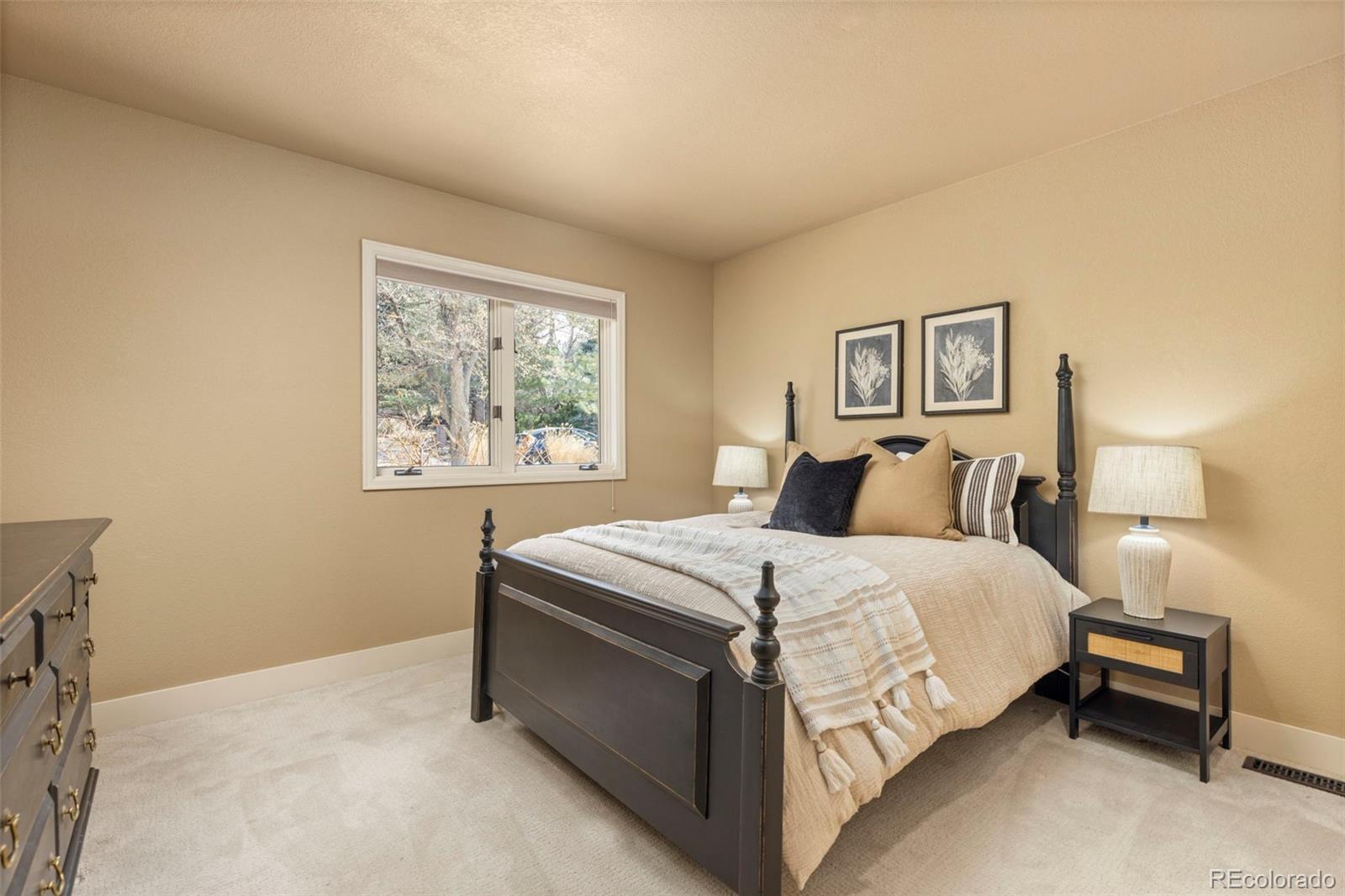 MLS Image #22 for 7532  lakecliff way,parker, Colorado